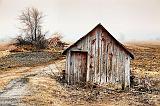 Field Shed_15104